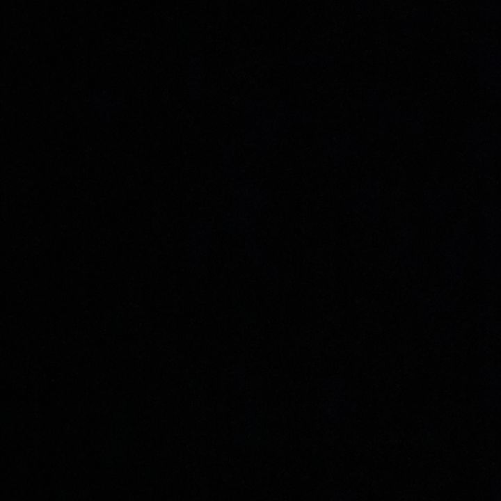 Profile Picture of Dominic Verdi (@verdi_birdy) on Tiktok