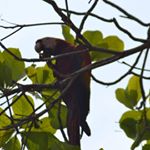 Profile Picture of Tina Ziegler Holland (@tina.z.holland) on Instagram