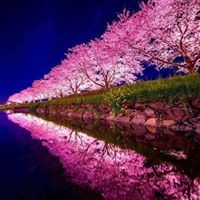Profile Picture of Paru Patel (@paru-patel-3) on Quora