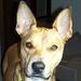 Profile Picture of Bethanne DeVoe Seel (@bdevoeseel) on Pinterest