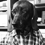 Profile Picture of Peter Schneeberger⚓️ (@schneepeter) on Instagram