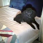 Profile Picture of Paulette sims (@corapaul) on Instagram