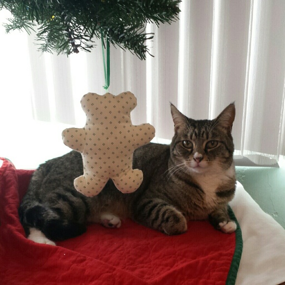 Profile Picture of Lorna Conley (@lornaley) on Poshmark