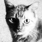 Profile Picture of Rex Devenport (@rex.devenport) on Facebook
