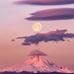 Profile Picture of Luis Anzures (@luis.anzures.777) on Facebook
