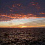 Danny Pelletier - Instagram Profile Picture of Danny Pelletier (@dpsavbabyd) on Instagram