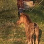 Profile Picture of Kim Sigler (@sigler.kim) on Instagram