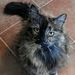 Profile Picture of Heidi Herron (@heidi_herron0908) on Pinterest
