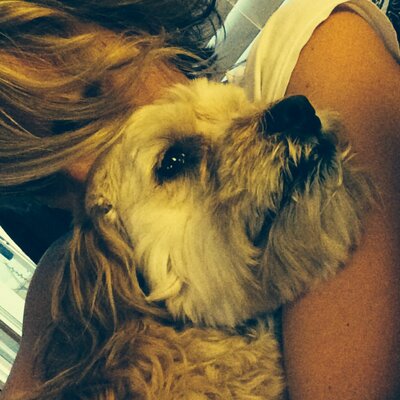 Profile Picture of Cgoucher (@cgoucher) on Twitter