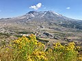 Profile Picture of Mount St. Helens National Volcanic Monumenton Wikipedia