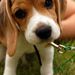 Profile Picture of Sean Deep (@seaniwood) on Pinterest
