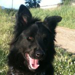 Profile Picture of Carlos (@olivan7) on Instagram