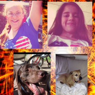 Profile Picture of Erik Brenzel (@erik.brenzel) on Facebook