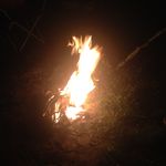 Profile Picture of Heather Jarrett (@heather_jarret) on Instagram