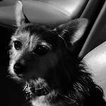 Profile Picture of Peter Ahlstrom (@ahlstrompeter) on Instagram