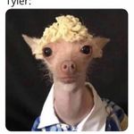 Profile Picture of Adam Everhart (@adam._everhart) on Instagram