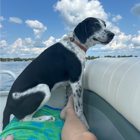 Profile Picture of Mckenzie Smith (@mckenziesmith24) on Poshmark