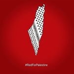 Profile Picture of احمد انور ✌🇵🇸 (@ahmad.anwar.2000) on Instagram
