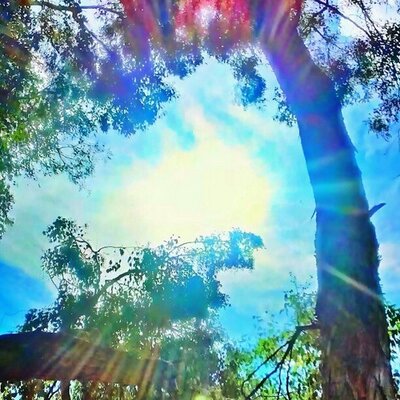 Profile Picture of Vince Dorian (@VinceDorian904) on Twitter