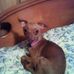 Profile Picture of Jo Hess (@jo.hess.754) on Facebook