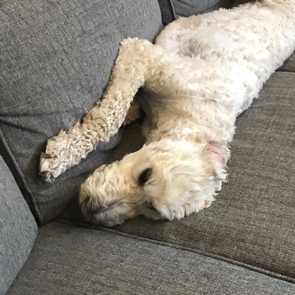 Profile Picture of Jane Earnest (@jane_earnest) on Poshmark