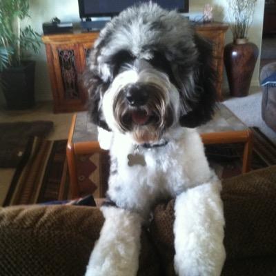 Profile Picture of Mike Sadowsky (@skymike38) on Twitter