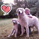 Profile Picture of Ursula Weis - Hundepflege (@weisursula) on Instagram