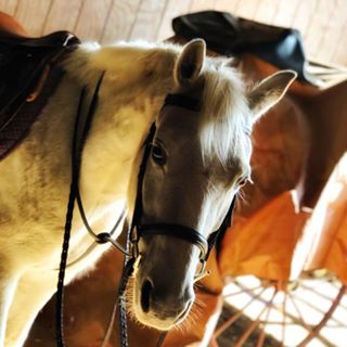 Cali Mitchell - Facebook Profile Picture of Cali Mitchell (@cali.mitchell.754) on Facebook