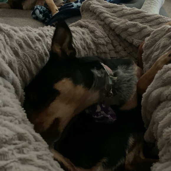 Profile Picture of Autumn Lancaster (@alancaster5) on Poshmark