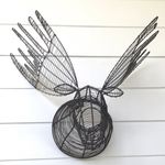 Jacqueline Arnott-Raymond - Instagram Profile Picture of Jacqueline Arnott-Raymond (@floracabin) on Instagram