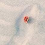 Profile Picture of Alex (@alexanderbrightman) on Instagram