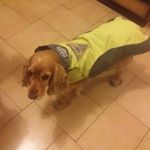 Profile Picture of Marcello Pipari (@marcellopipari) on Instagram