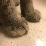 Profile Picture of Melissa Riley Stutzman (@melissa.stutzman) on Instagram