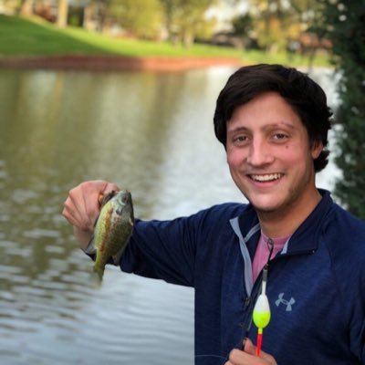 Profile Picture of Chris Letsinger (@BeeposaurusRex) on Twitter
