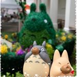 Profile Picture of 珍～珍 (@tracysmallworld) on Instagram