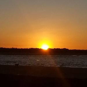 Profile Picture of Reyes555cuellar@gmail.com (@reyes555cuellar) on Twitter