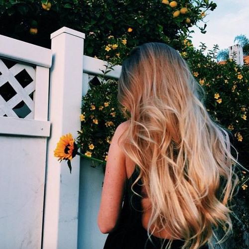 Profile Picture of arnold.daisy (@arnold.daisy) on Tiktok