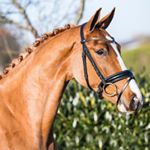 Profile Picture of Michael Lynam (@m_lynam72) on Instagram