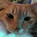 Profile Picture of Michael Bergevin (@michaelbergevin13) on Instagram