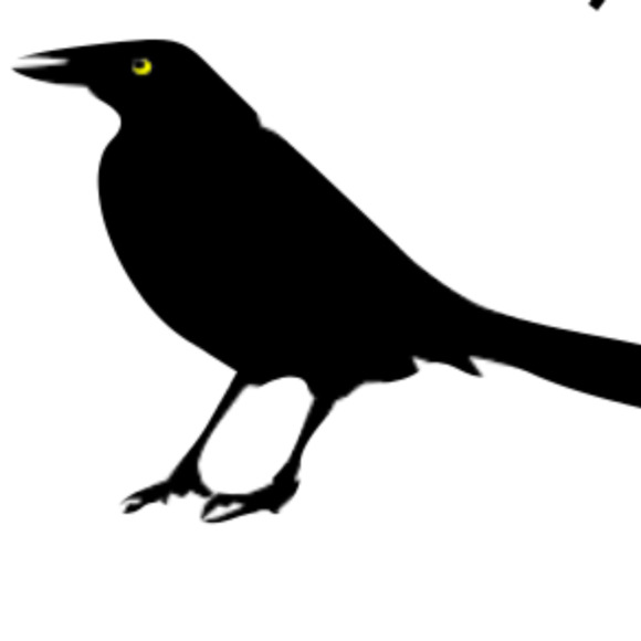 Profile Picture of Gina Kanter (@blackbird04) on Poshmark