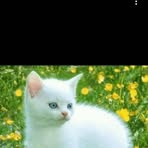 Profile Picture of Joël Descieux Dmao (@Joël-Descieux-Dmao) on Facebook