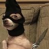Profile Picture of AllisonBlevins (@chestphk0t5) on Tiktok
