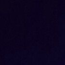 Profile Picture of Zachary Trimble (@@zachary_is_king) on Tiktok