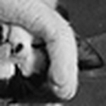 Profile Picture of Benamara (@benamara) on Flickr