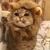 Profile Picture of Christopher Sherman (@YohGS) on Youtube