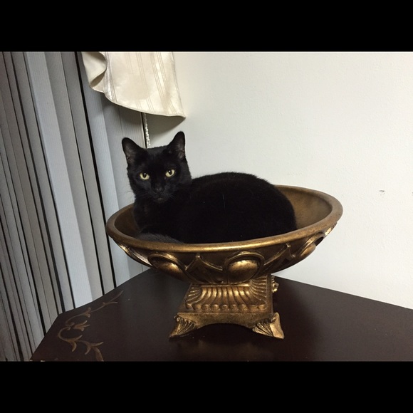 Profile Picture of Anne Eyre (@wallyape) on Poshmark