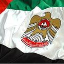 Profile Picture of Ahmed Almansouri (@f7alad) on Pinterest