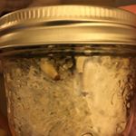 Profile Picture of Chad (@battlebornbooms) on Instagram