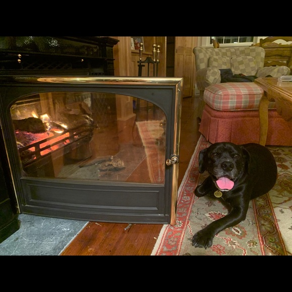 Danielle Searls - Poshmark Profile Picture of Danielle Searls (@dsearls) on Poshmark