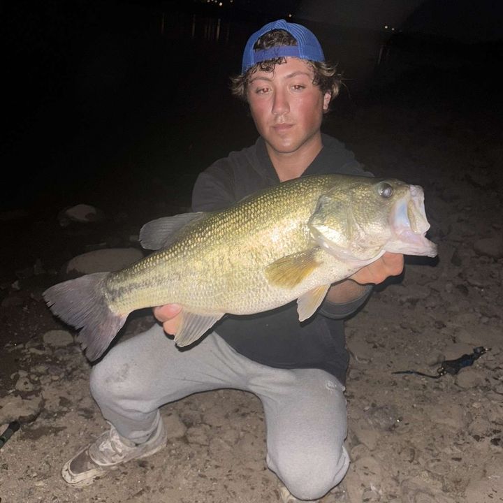 Profile Picture of vincent b (@vincent.bar) on Tiktok